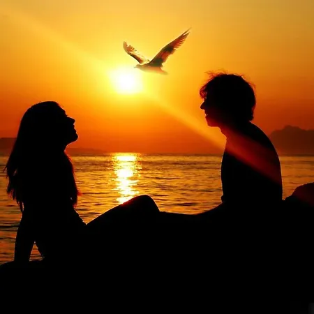 Robinson * ツコン